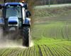 <p>Sommer betyr også sesongarbeid i landbruket. Arbeidsinnvandrerne utfører stadig mer arbeid på norske gårdsbruk. Rundt 17 prosent av landbrukerne benytter innleid, utenlandsk arbeidskraft, ifølge en rapport fra Bygdeforskning. For å sikre arbeidsinnvandrernes lønns- og arbeidsvilkår ble det innført en allmenngjort tariffavtale i 2010.</p>