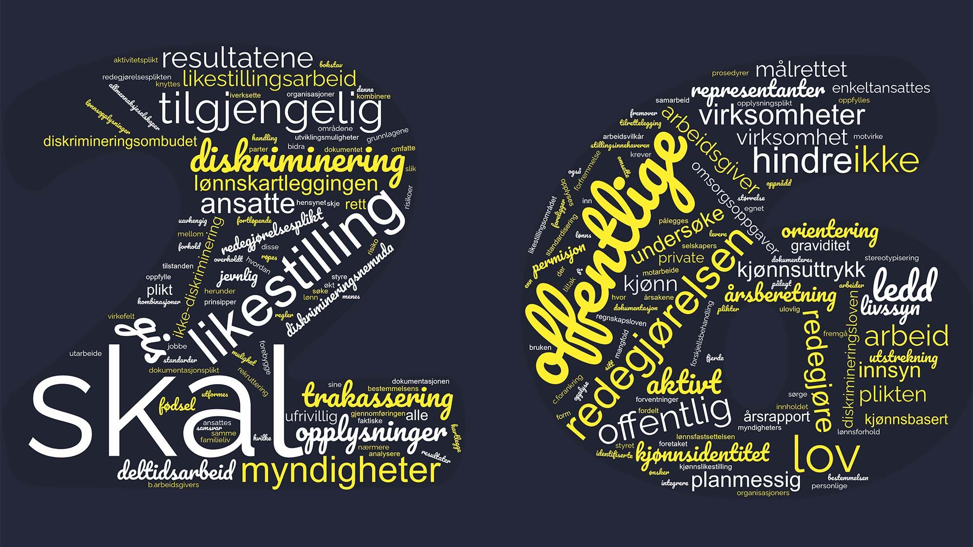 <p>LIKESTILLINGSLOVENS paragraf 26 ble skjerpet inn fra 2020. Arbeidsgiverne fikk da nye plikter til aktivitet og redegjørelse for arbeid for likestilling og mot diskriminering. Illustrasjon: Wordclouds.com, basert på paragrafens tekst.</p>